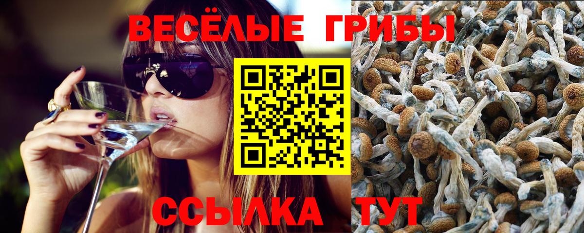 Галлюциногенные грибы Magic Shrooms Нурлат