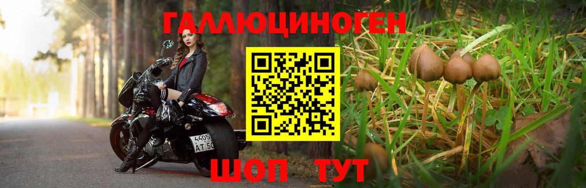 Галлюциногенные грибы Psilocybe  Галлюциногенные грибы Cubensis  закладки  Вход с VPN  Нурлат 