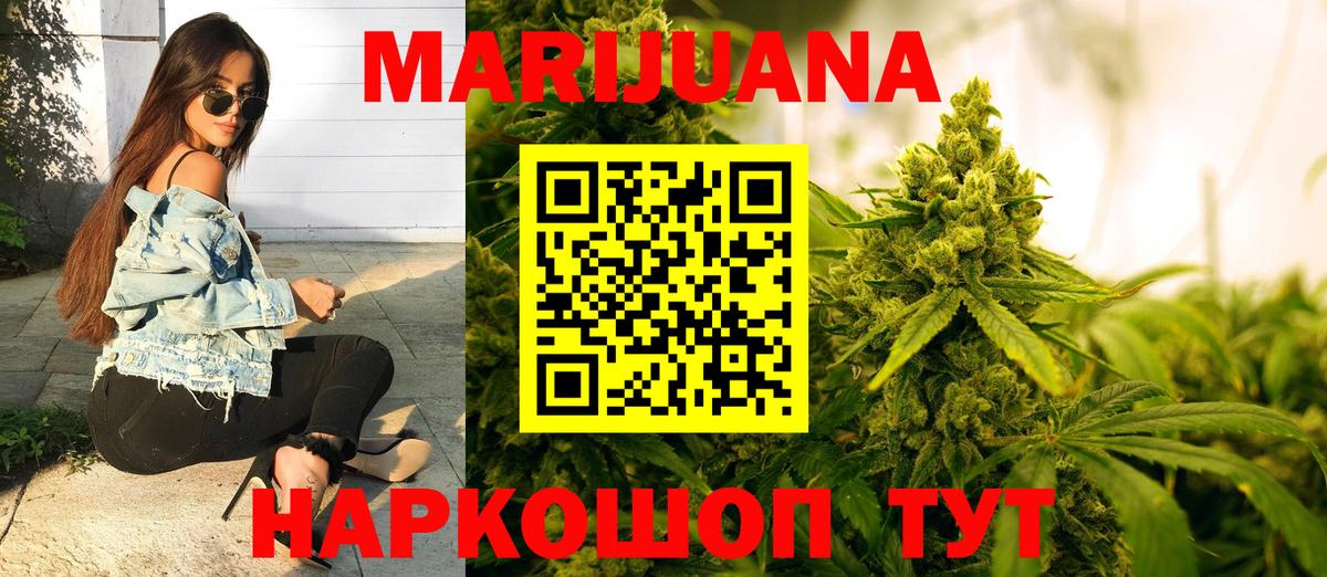 Канабис планчик Нурлат